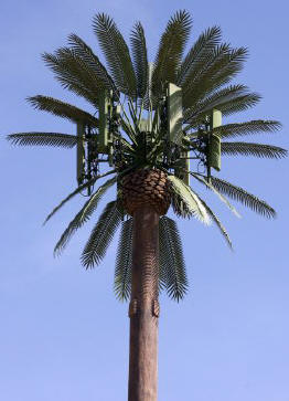 Cell phone tower rely antenna made from a palm tree